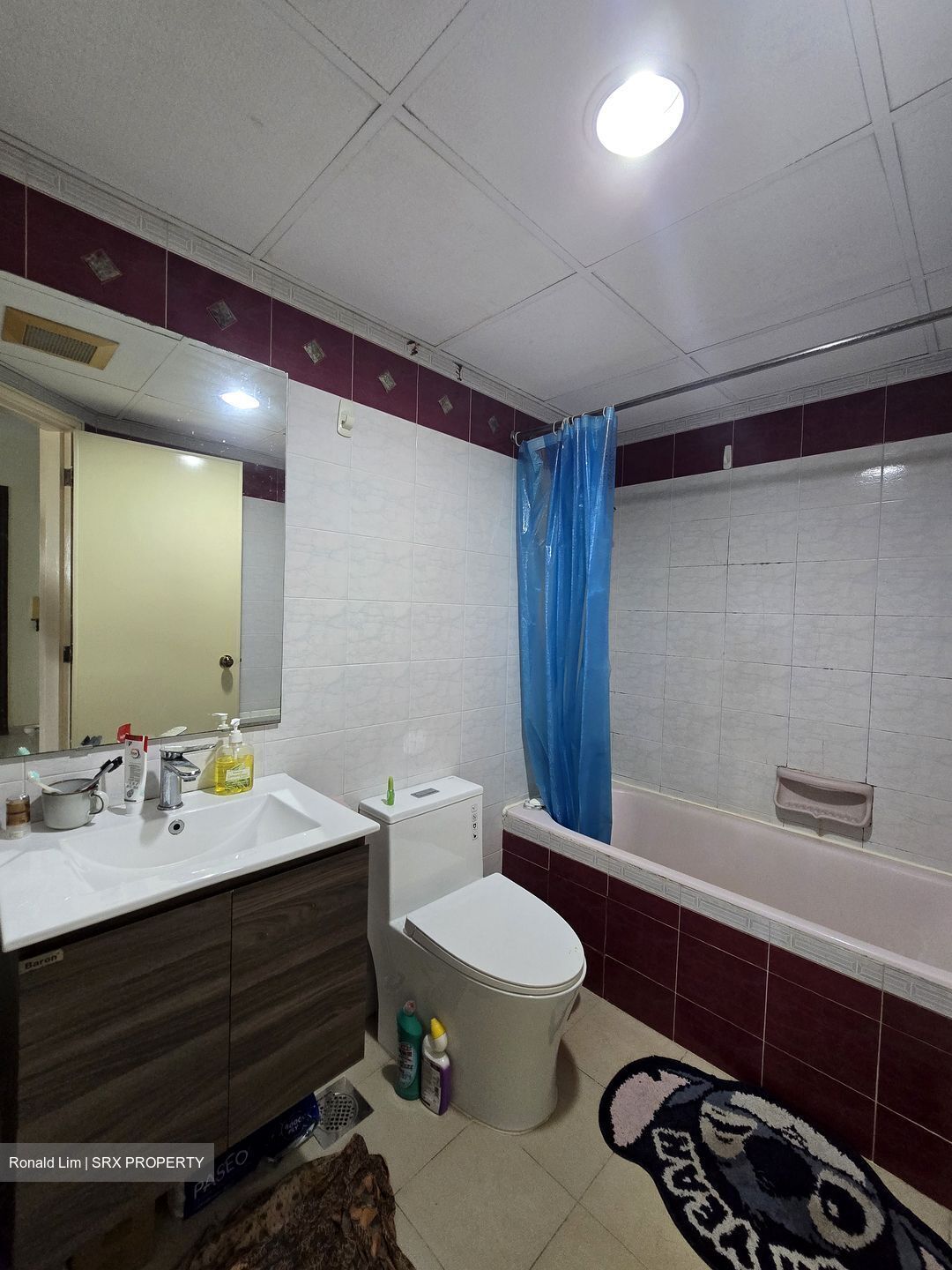 Central Green Condominium (D3), Condominium #597682381